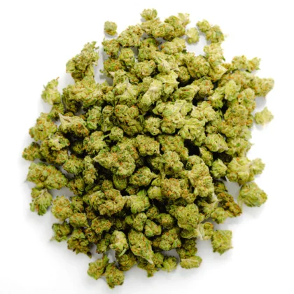Small Buds